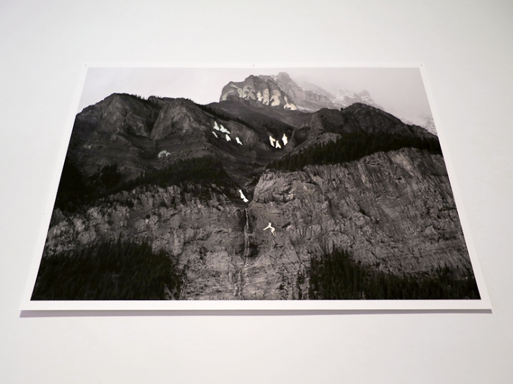 http://www.savvy37.mirunadragan.com/files/gimgs/th-12_GGallery_Mountain_web.jpg