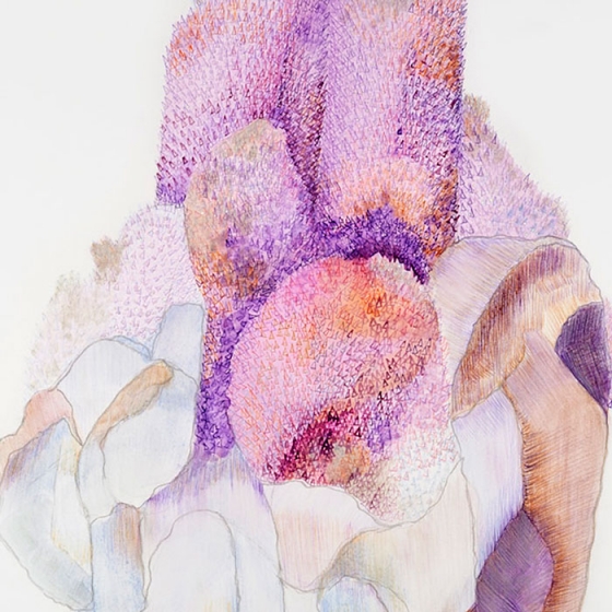 http://www.savvy37.mirunadragan.com/files/gimgs/th-23_Erratics-Draw3-detail-web_v2.jpg